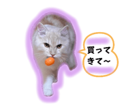 766073092