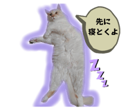 766073096