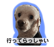 766073105