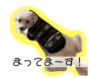 766073109