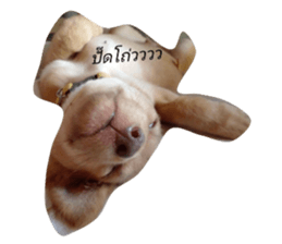 766096534