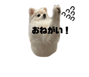 766097434
