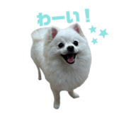 766097439