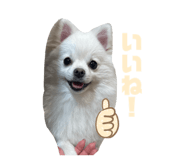 766097440