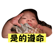 766098386