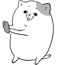 766110166