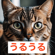 766111810
