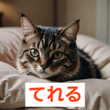 766111839
