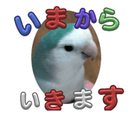 766116596