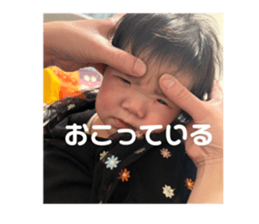 766133381