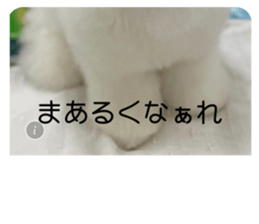 766144998