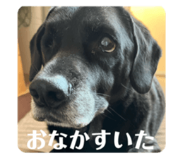 766188380