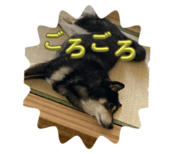 766189594