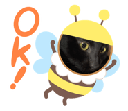 766191098