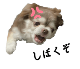 766210581