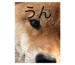 766211469