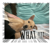 766227510