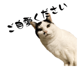 766230232