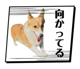 766232270