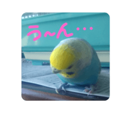 766237309