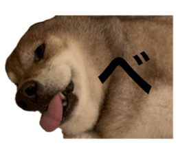 766238598