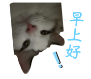 766246382