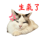 766246385