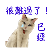 766246392