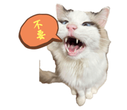 766246529