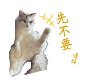 766246540