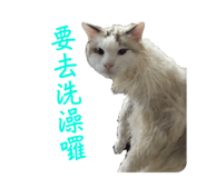 766246541