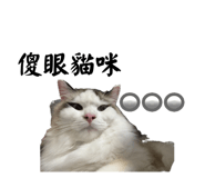 766246548