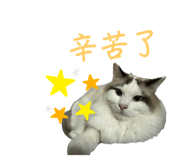 766246550