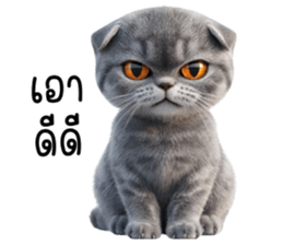 766249934