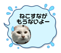 766252279