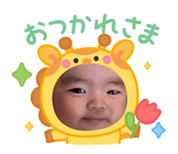 766252301