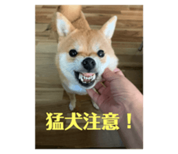 766252583