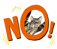 766254112