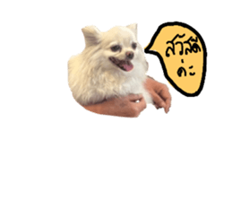 766255087