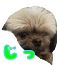 766268297