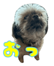 766268300