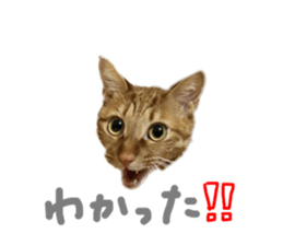 766272394