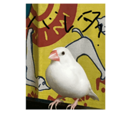 766275727