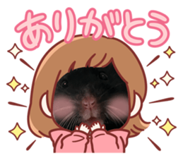 766320886