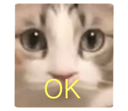766321777
