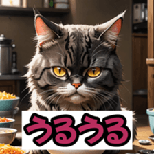 766330553