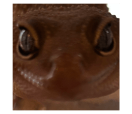766331899