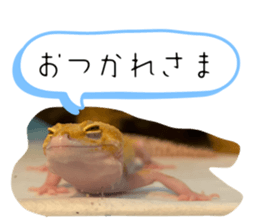 766331905