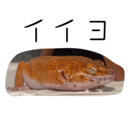 766331914