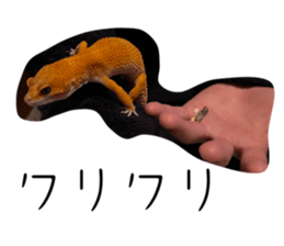 766331924